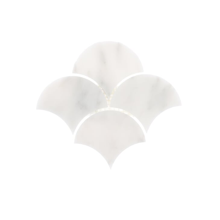 Sample card spin image