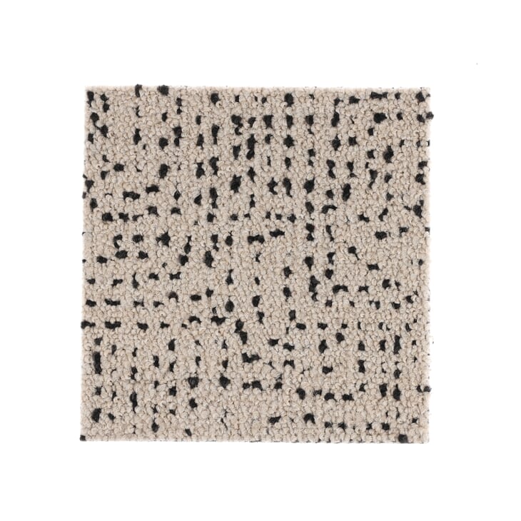 Sample card spin image