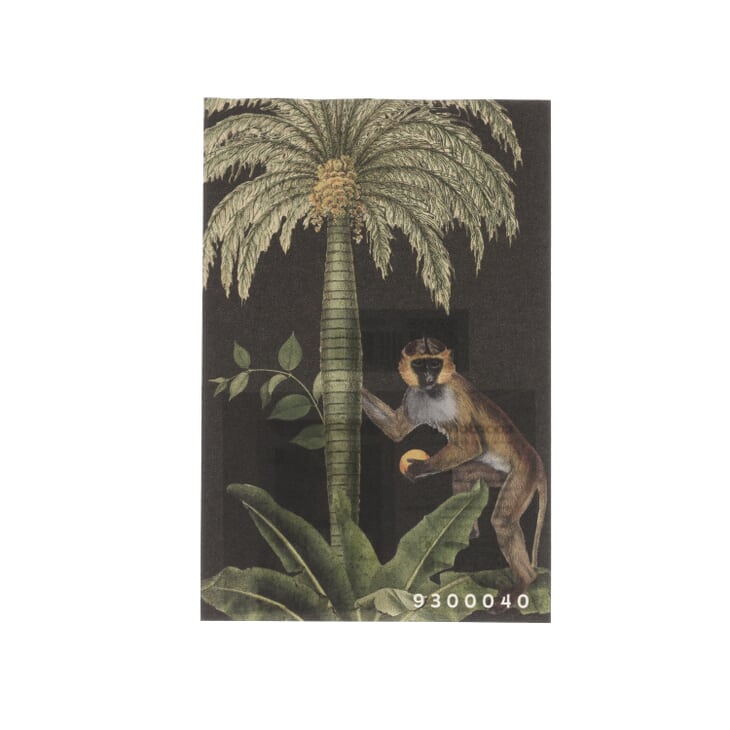 Sample card spin image