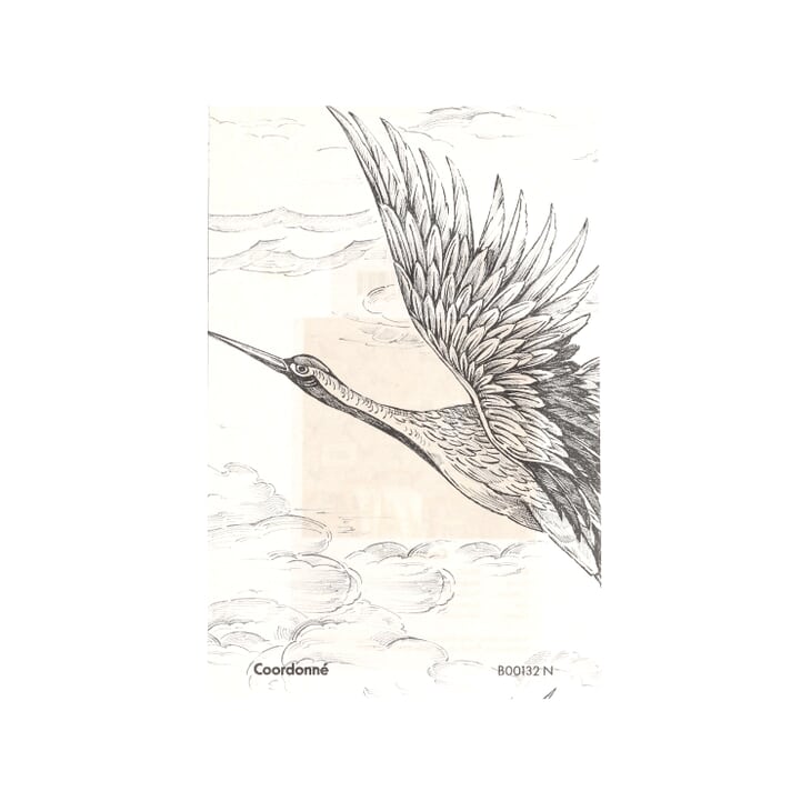 Sample card spin image