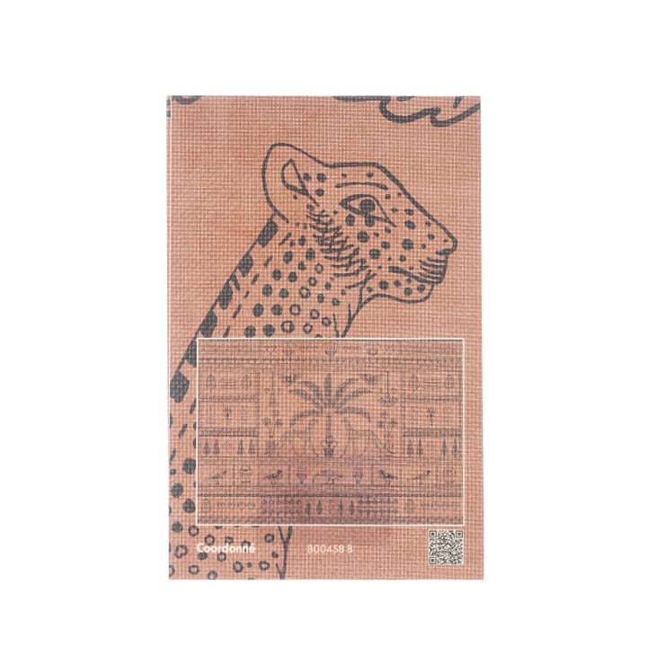 Sample card spin image