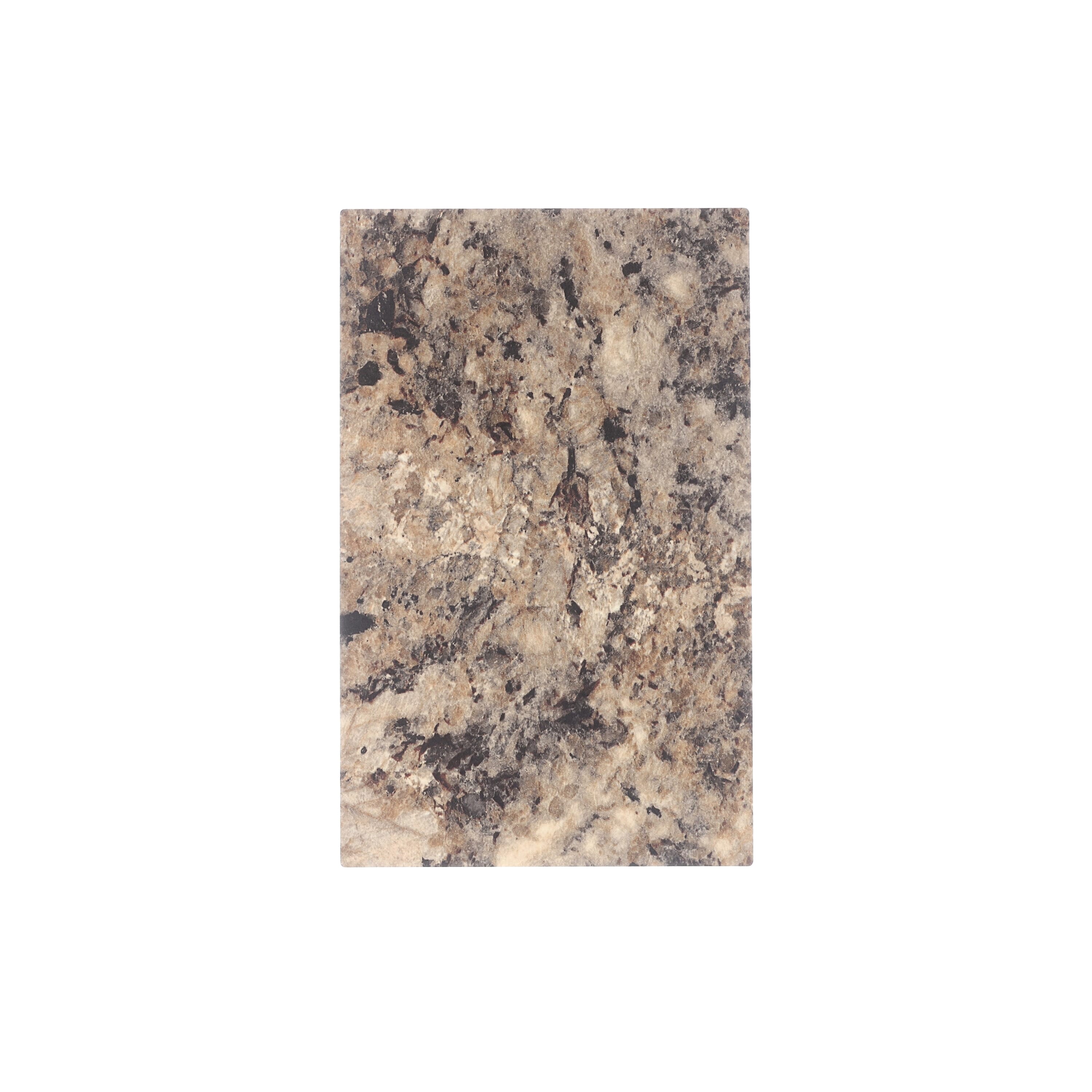 Summer Carnival | DesignShop